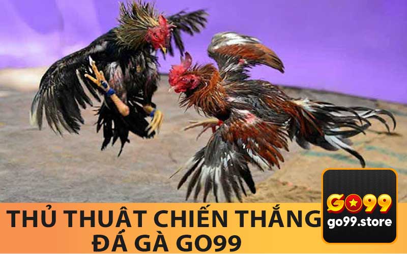 Thủ Thuật Chiến Thắng Đá Gà Go99